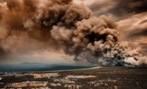 Шесть проявлений медийного кретинизма на фоне пожаров в Австралии