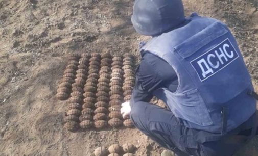 Житель Одесской области обнаружил на своем огороде более 100 гранат