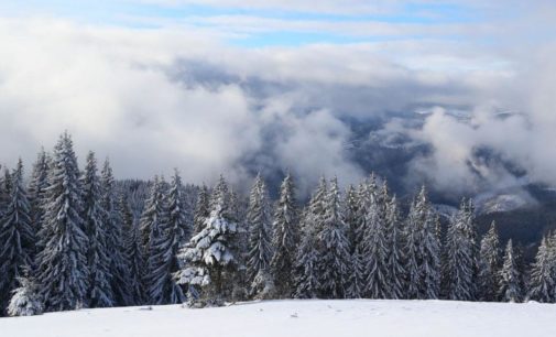 В Карпатах выпало более одного метра снега