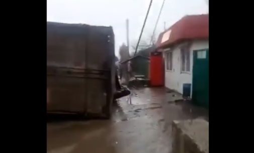 В Харьковской области фура со свиньями снесла столб и перевернулась