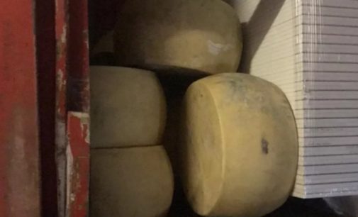 На границе с Польшей пограничники задержали 3 грузовика с 2 тоннами контрабандного сыра