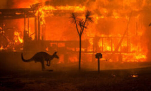 Украинские идиоты и пожары в  Австралии