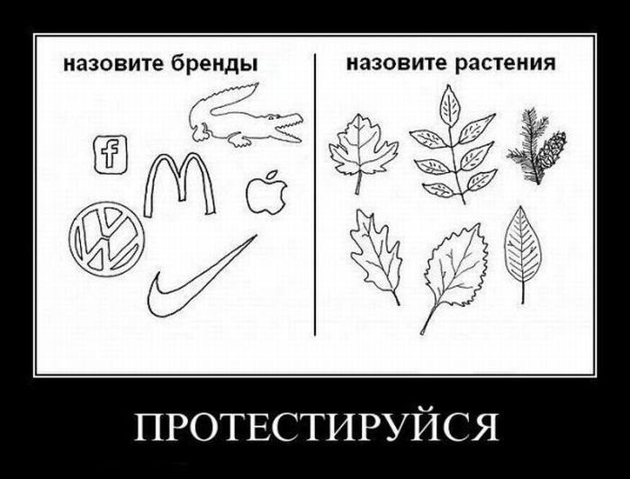 Позитив обеспечен: прикольные демотиваторы, которые сделают ваш вечер