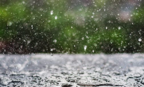 Погода на 12 марта: в Украине пройдут дожди, ночью похолодает в некоторых регионах  до 0 градусов