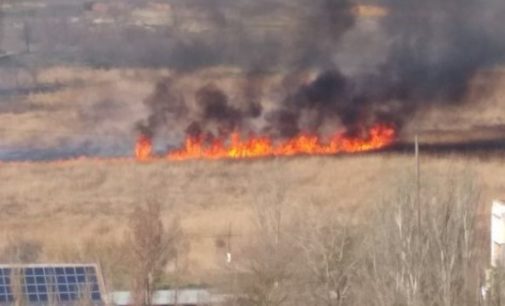 В окрестностях Херсона начался масштабный пожар: горят камыши