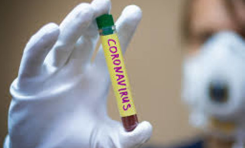 Украина и Китай проведут прямой телемост для обсуждения вопросов противодействия коронавирусу