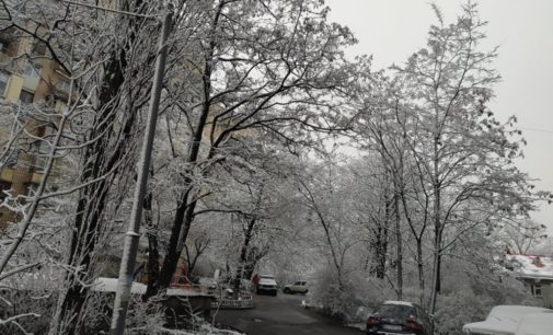 В Киев вернулась зима: столицу внезапно засыпало снегом