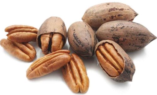 Врачи рассказали о пользе и вреде пекана