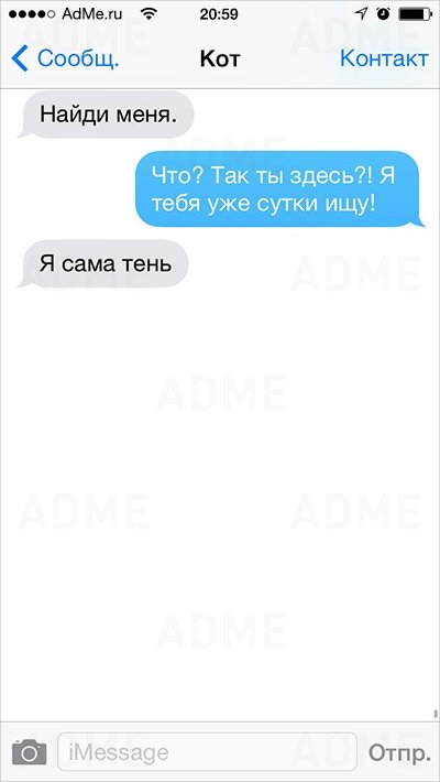 Смешные СМС о том, если бы коты умели писать