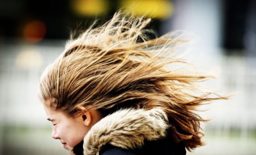 Синоптик: в воскресенье в Украине будет солнечно и ветрено (КАРТЫ)