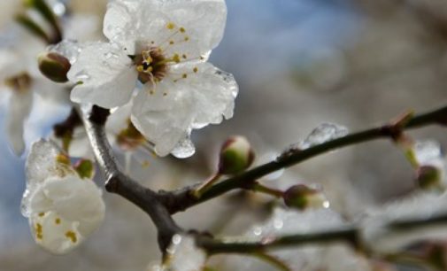 В Украину идут заморозки