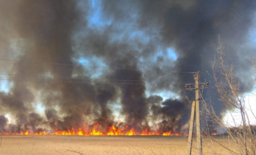 Под Киевом вспыхнул пожар: уничтожены дачные дома