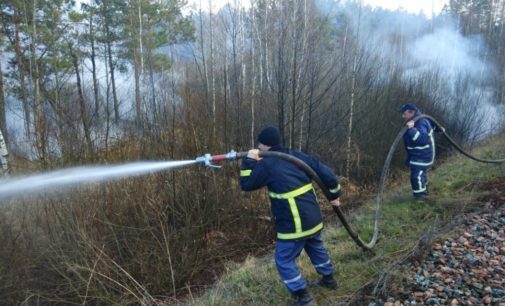 Спасателям удалось ликвидировать пожар на границе зоны ЧАЭС