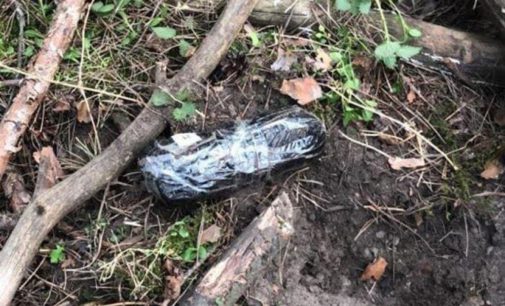 Столичные силовики задержали «закладчика» с 8 кило «зелья»: парню светит 10 лет тюрьмы