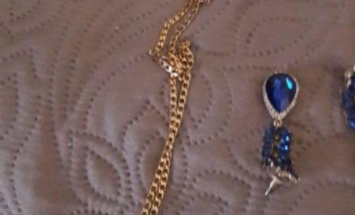 «Подсыпали снотворное»: на Киевщине полиция задержала банду грабителей-иностранцев