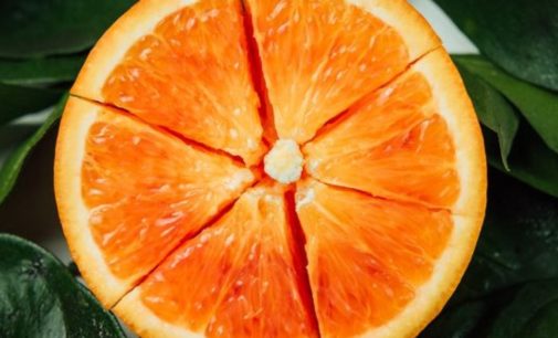 Медики рассказали о пользе кожуры мандаринов