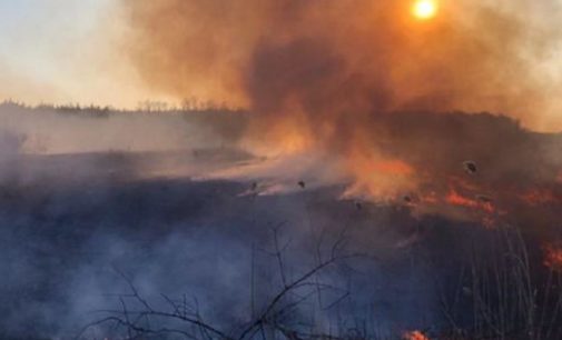 ГСЧС: в Зоне отчуждения локализовали 2 последних очага возгорания