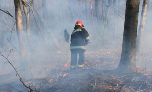 Пожар на Житомирщине за сутки уничтожил 500 гектаров заповедного леса