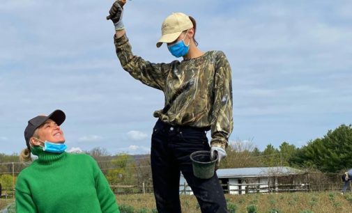 Белла Хадид показала «неопрятное» фото в саду