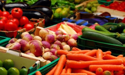 После открытия продуктовых рынков ожидать вспышки COVID-19 не стоит — эксперт