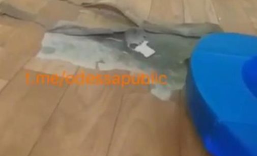 «Поела в палате и спряталась»: В Одессе на территории детской больнице заметили мышей