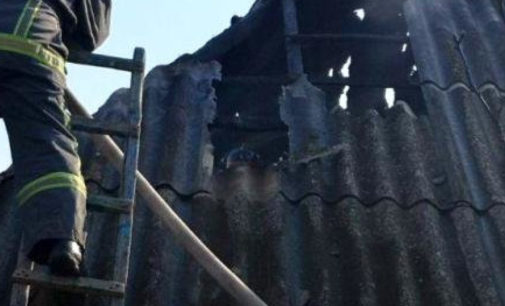 В Одесской области горела хозяйственная пристройка: погибла домашняя живность