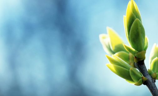 Синоптик: В четверг антициклон Loris удержит повсюду в Украине солнечную и сухую погоду