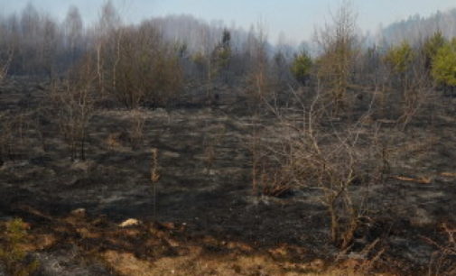 Пожар в Чернобыльской зоне: в селах горят дома