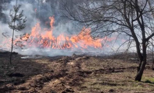 Загрязненный воздух из Чернобыля несет в Киев