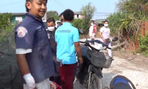 В Таиланде огромный питон атаковал змеелова: укусил мужчину руку