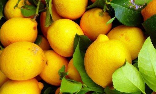 В Украине подорожают лук и лимоны – эксперт