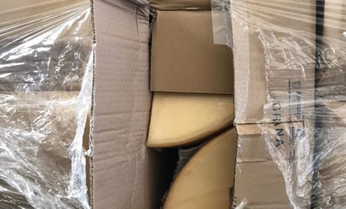 На Закарпатье пограничники задержали контрабанду из Италии с более чем полутора тоннами сыра