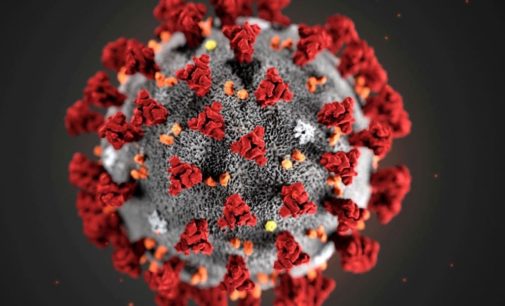 Американские ученые развеяли миф о заражении коронавирусом через еду