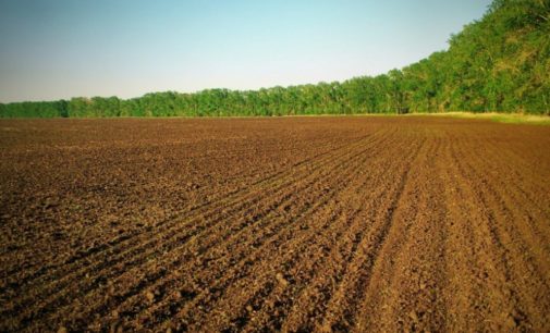 В Раде разблокировали подписание закона о рынке земли