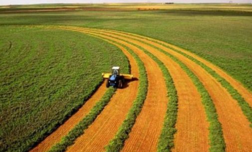 Эксперт рассказал, почему международным кредиторам важно открыть рынок земли в Украине