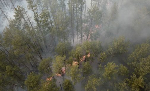 Помог дождь: Пожар в Чернобыльской зоне удалось потушить