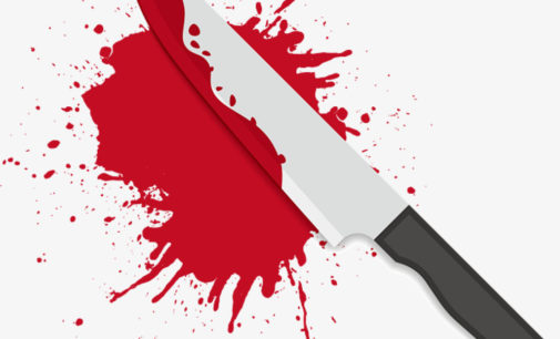 Пьяный житель Черкасской области ударил ножом брата