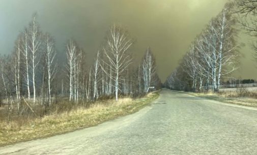 В Чернобыльской зоне обнаружили два новых очага возгорания