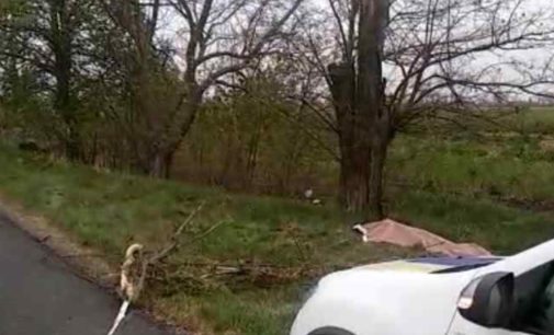 В ДТП в Одесской области погиб 32-летний водитель мопеда: не справился с управлением на повороте