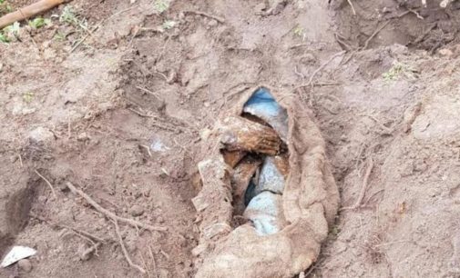 Под Киевом мужчина во время пьянки убил своего друга и закопал во дворе дома