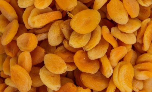 Медики назвали уникальные свойства кураги