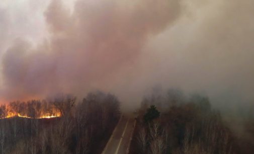 В Чернобыльской зоне пожар ликвидировали, но тление продолжается в четырех лесничествах – ГСЧС