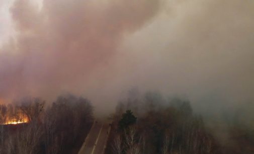 Большая часть поджогов случилась в закрытой части Чернобыльской зоны – эксперт