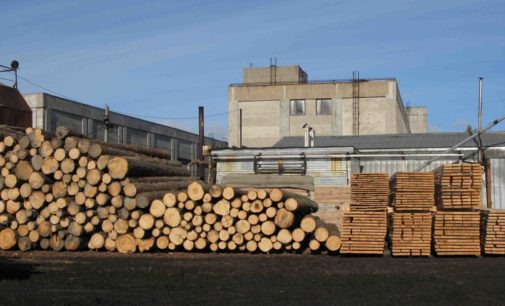 Директор лесхоза наторговал деловой древесиной на 360 тысяч гривен и срок