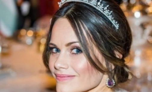 Шведская принцесса решила стать медсестрой