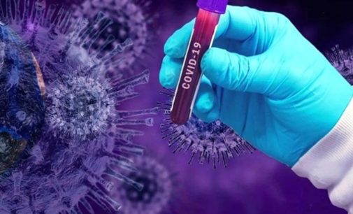Французские медики узнали температуру гибели коронавируса