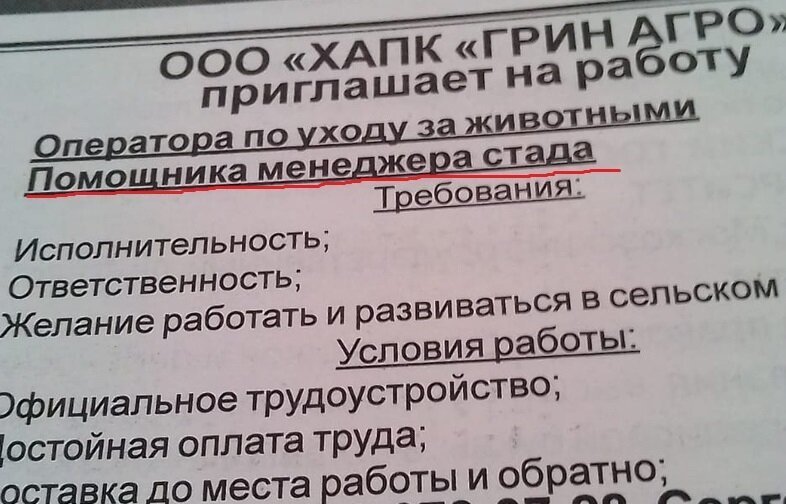 Забавные вакансии от работодателей, чьей наглости нет предела