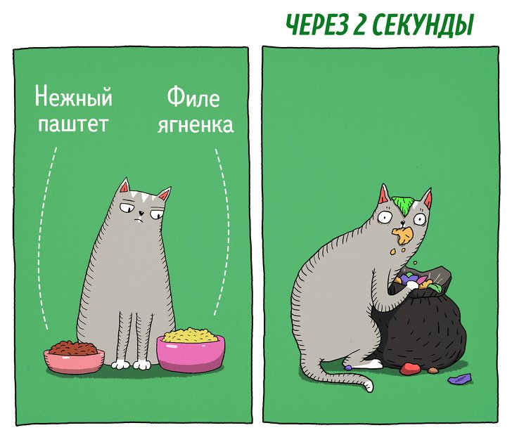 Забавные комиксы о противоречивости котов. ФОТО