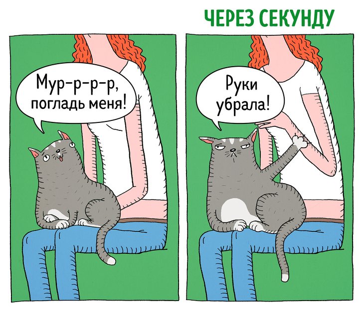 Забавные комиксы о противоречивости котов. ФОТО
