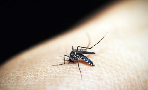 В Харькове подтвердился случай малярии: болезнь выявили у студента
